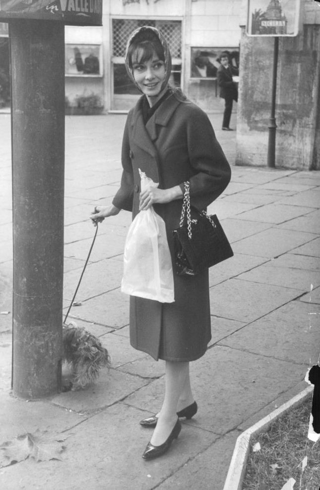 Image of AUDREY HEPBURN (1929-1993). - American (Belgian-born) Actress, In  Rome With A Louis Vuitton Speedy 25 Bag, 1968. EDITORIAL USE ONLY. From  Granger - Historical Picture Archive