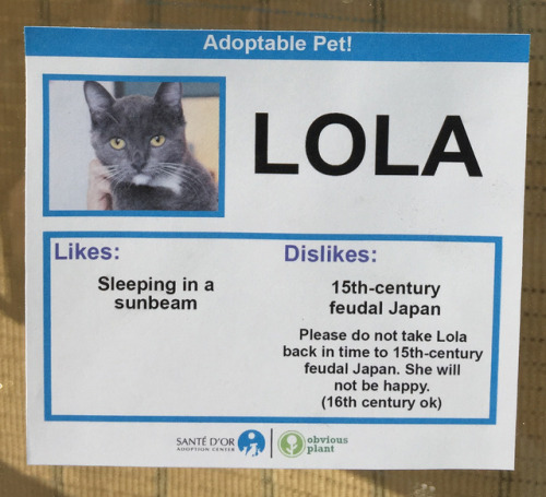 vxtxv:  obviousplant:I gave these adoptable cats some interesting likes and dislikes. All these cats are real and can be adopted here! See more on Facebook.  Me neither, Leche. Me neither.  Leche woke af