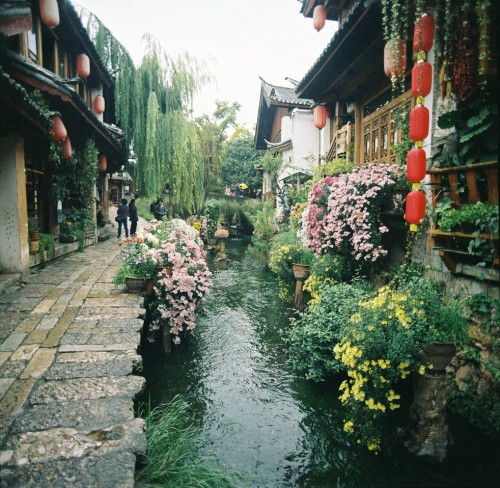 floralls: Autumn at Lijiang old town, China by Ngoc Hung 