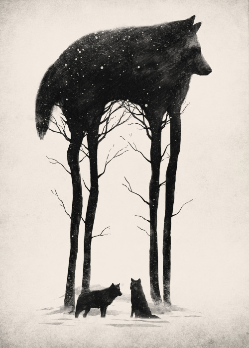 sosuperawesome:  Dan Burgess, on Tumblr Shop 