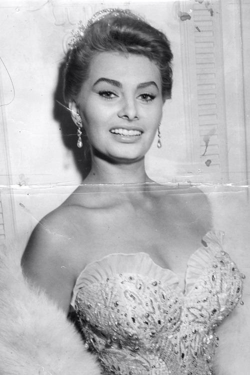 Someone’s much loved photo of Sophia Loren at the Cannes International Film Festival, 1955