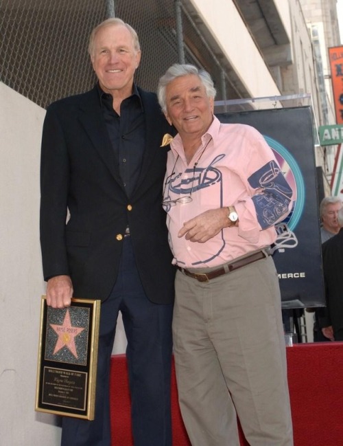 Appreciation post for the real-life bromance between Wayne Rogers and Peter Falk. Why aren’t there m