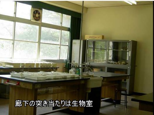 Северная старшая школа префектуры Осаки 県立西宮北高等学校 Tumblr_pn3035RVs61sf3b80o6_540