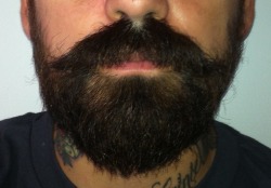 flickr-beard-power:  This is my Bearded Brother - Sapo. This is his 6 weeks beard growth. Incredible progress.Keep growing and showing! Follow:  http://flickr-beard-power.tumblr.com/