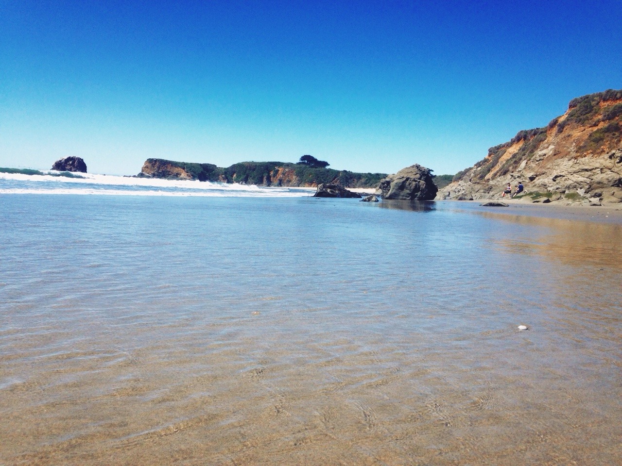 alpha-peasant:  PCH, Highway 1, the Coastal Route, the most beautiful drive of your