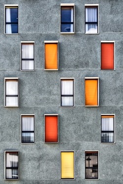 dcwdesign:  window patterns. 