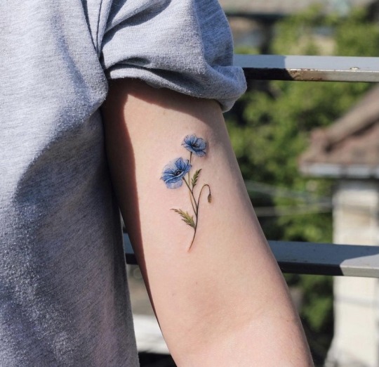 Amazon.com : Cornflower Temporary Tattoo Sticker (Set of 2) - OhMyTat :  Beauty & Personal Care