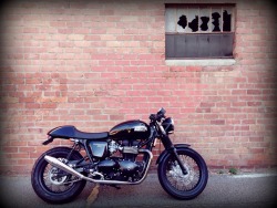 rebelofsuburbia:  Triumph Thruxton