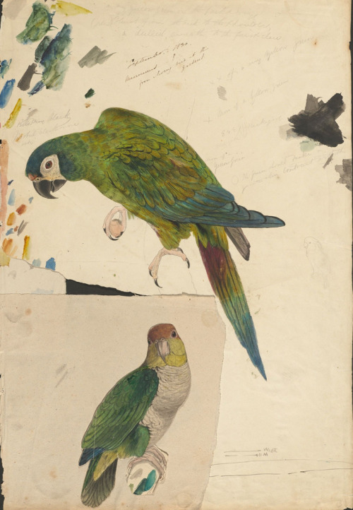 art-and-things-of-beauty - Edward Lear (1812–1888) - Sketches...