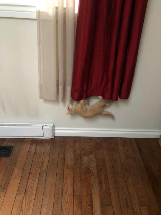 catasters: