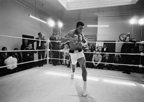 queens-and-pharaohs:  nevver:  Dead at 74, Muhammad Ali  RIP to a black legend, a black hero. 2016 man. What a year. ~Hannah