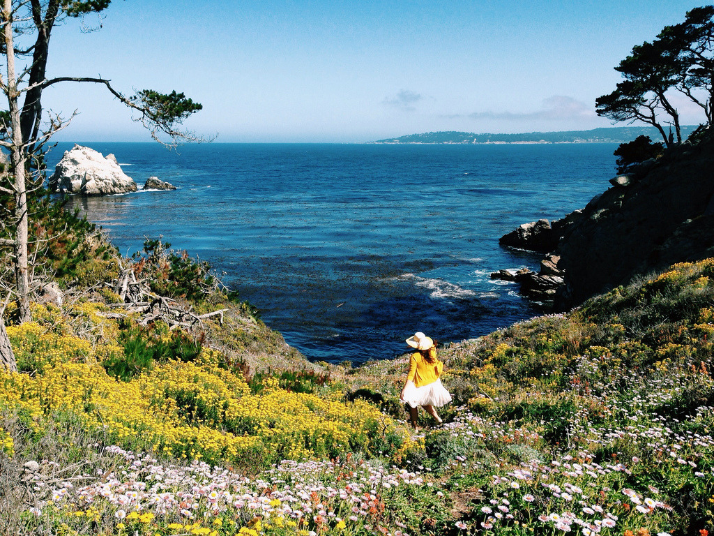 floralls:  Kassia Phoy. Point Lobos (by kevinrussmobile) 