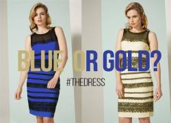 idontfeellikedrawing:  youngstero:youngstero:the company that makes the dress is releasing an actual white and gold one  i still cannot believe this  I only see it as white and black.  They should have made it less ugly too