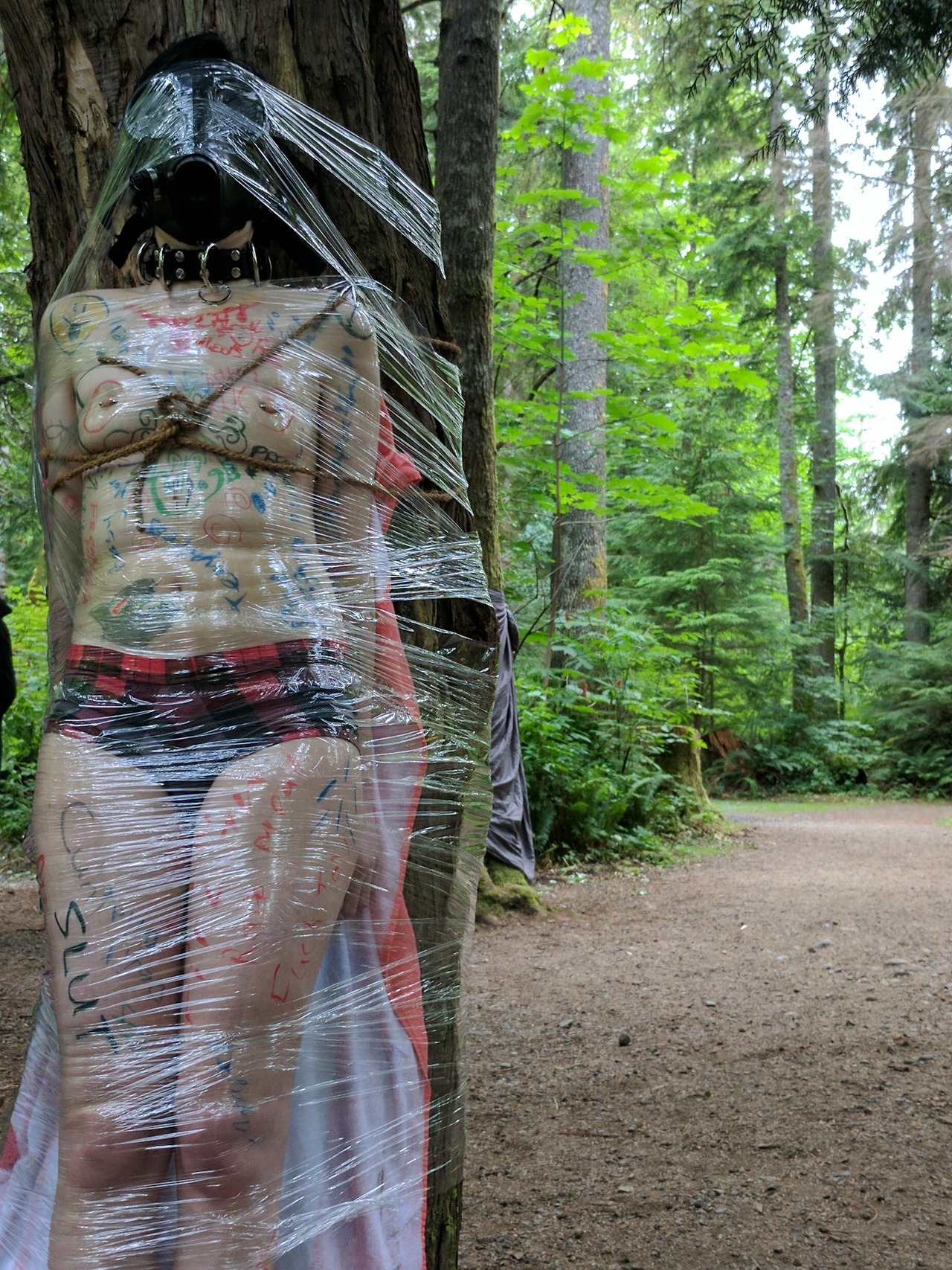 bondagecontrol:  evie-lupine:restrained, blinded, and lost in the woods.  It would