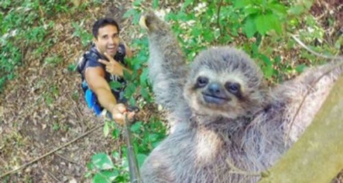 viejospellejos:  Lo que habrá tardado en sacar el selfie…