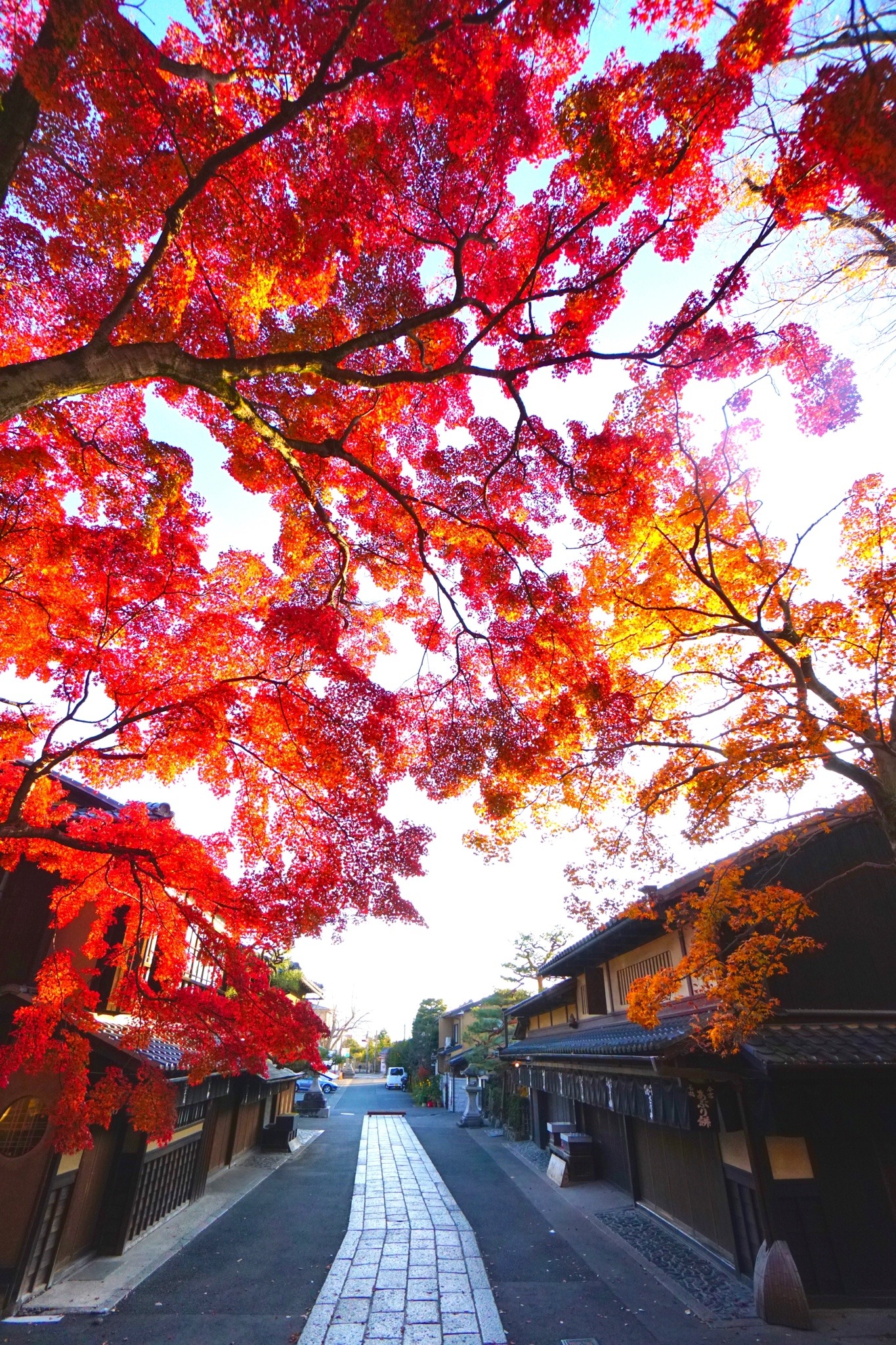 今宮神社 Explore Tumblr Posts And Blogs Tumgir 今宮神社 Explore Tumblr Posts And Blogs Tumgir