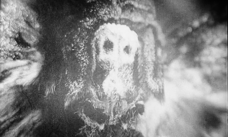 midnightmurdershow:  Un Chien Andalou (1929) Directed by Luis Buñuel  