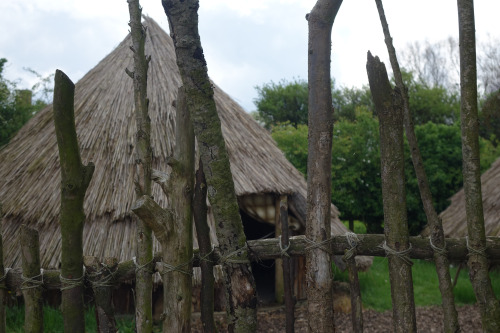 Prehistoric Village at the Yorkshire Museum of Farming, York, 22.5.16.