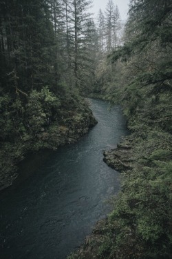 samshatsky:Forest Hikes