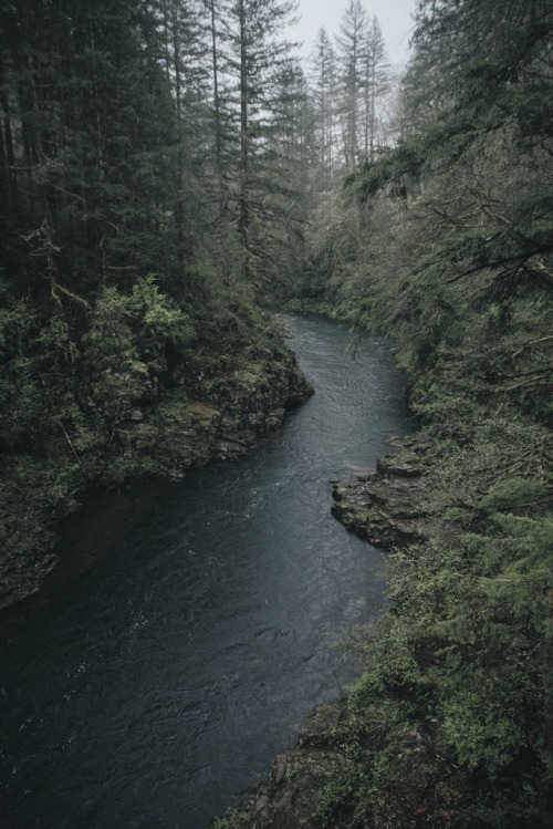 XXX samshatsky:Forest Hikes photo