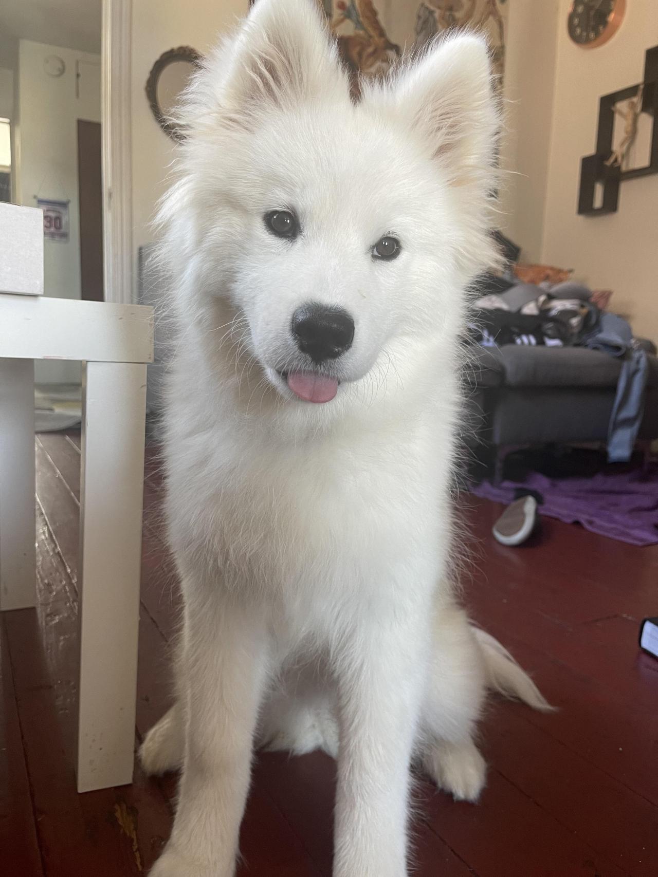 Genevieve, my 5 mo, giving a mlem