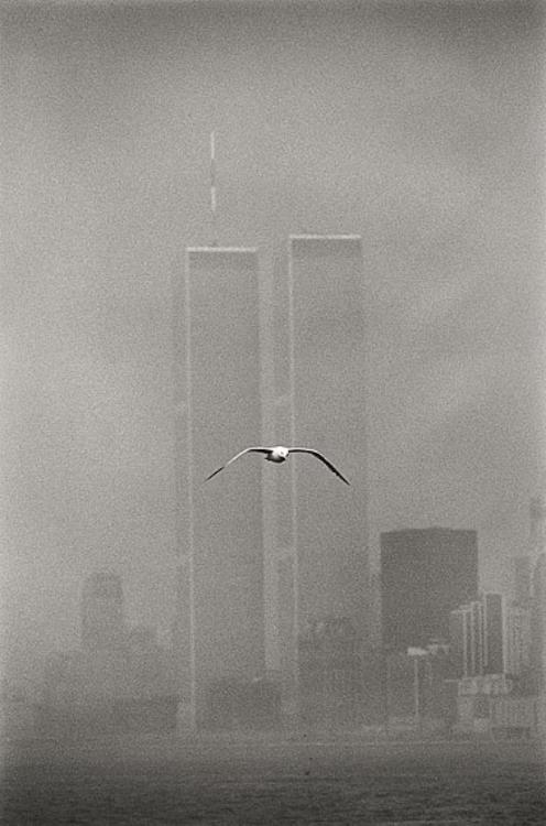 de-salva:Twin Towers (Lower Manhattan, New York, 1979)Gelatin silver print© Louis Stettner (1922-201