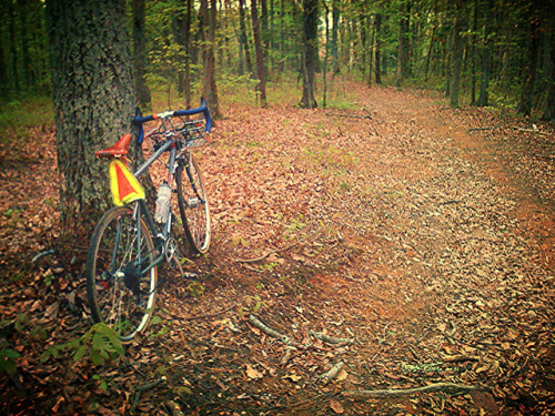 pedicabconfession: Observatory Hill. Charlottesville, VA. by CWMPFB on Flickr.