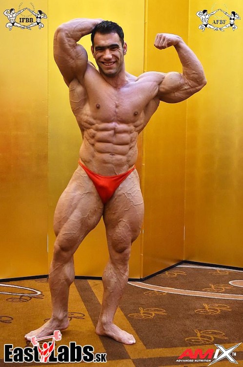 nicemusclemen:Ayat Bagheri porn pictures