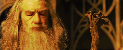 mikroeinaitomatisou:Middle Earth Alphabet: N is for the Nine Companions