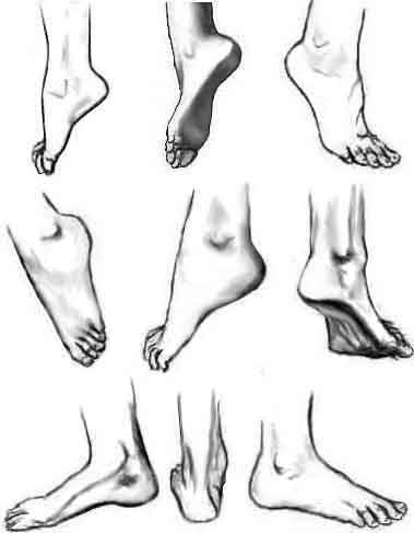 A delectable fuck-ton of feet references.[From various sources]