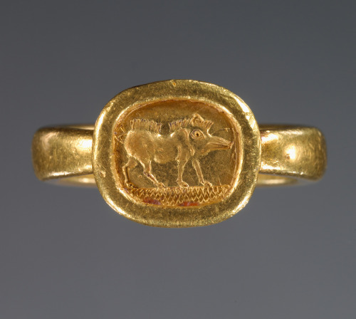 ancientjewels:Greco-Phoenician gold ring depicting a boar. Dates to 525-400 BCE. From the collection