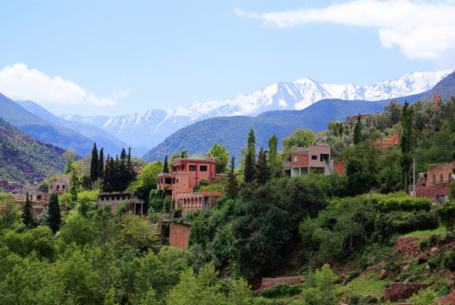  The Ourika Valley through the Atlas Mountains, Amazigh lands ⵣ 