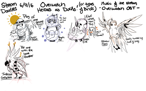 kinokashi:  Drew some of the Overwatch heroes as birds :) Cockatoo Junkrat   Budgie D.Va Sparrow Mercy Rooster MccreePenguin Mei   omg! <3