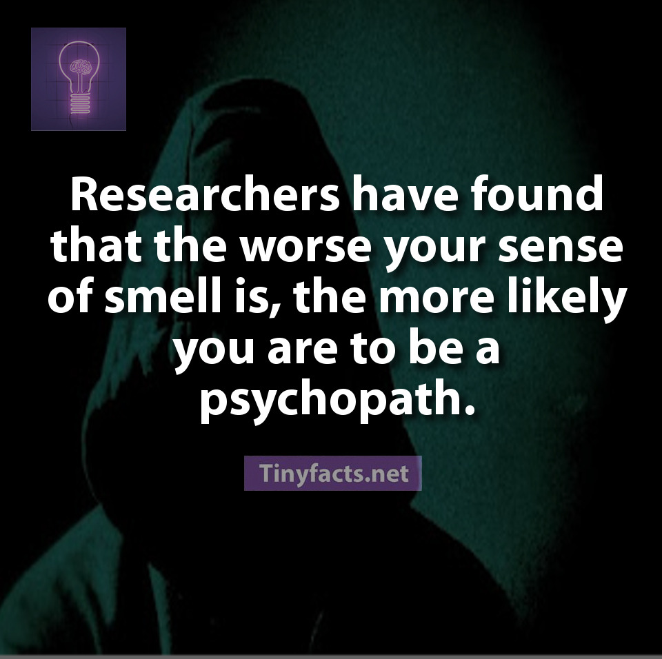 More at: Tinyfact’s Facebook | Youtube | Instagram