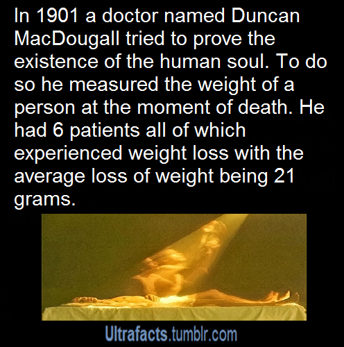 ultrafacts:  More facts? Visit the Ultrafacts Blog 