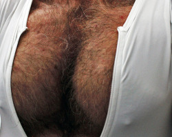 noseforahtwo:bara tiddies tho