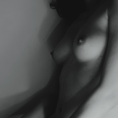 troisdumatin:  morning shadows 