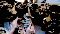  MY FAVOURITE ASOIAF HOUSES → [9/10] » House Velaryon of Driftmark ↳ House