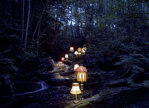 origamicrow: Lamps are returning to their natural habitatNature is healingWe are the monsters