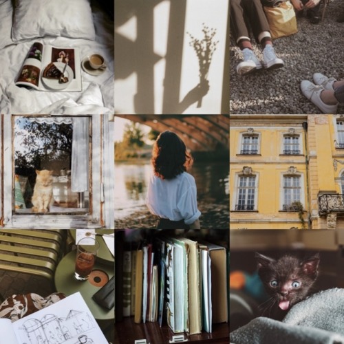 pomprincesse:Aesthetic moodboard ft. cats for @1940slesbiani love this SO MUCH