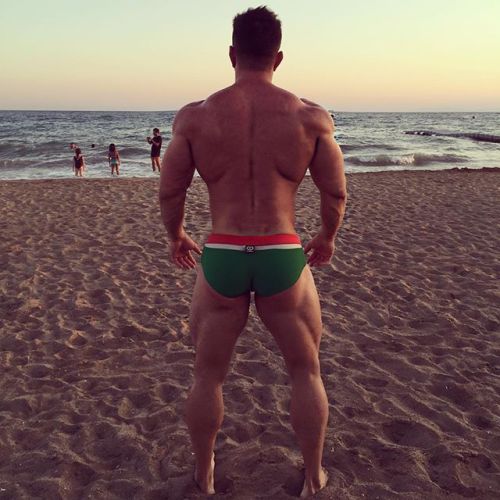Stepan Pereverzev