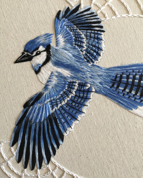 cafeinevitable:Blue Jay by Alanna Harthand embroidery