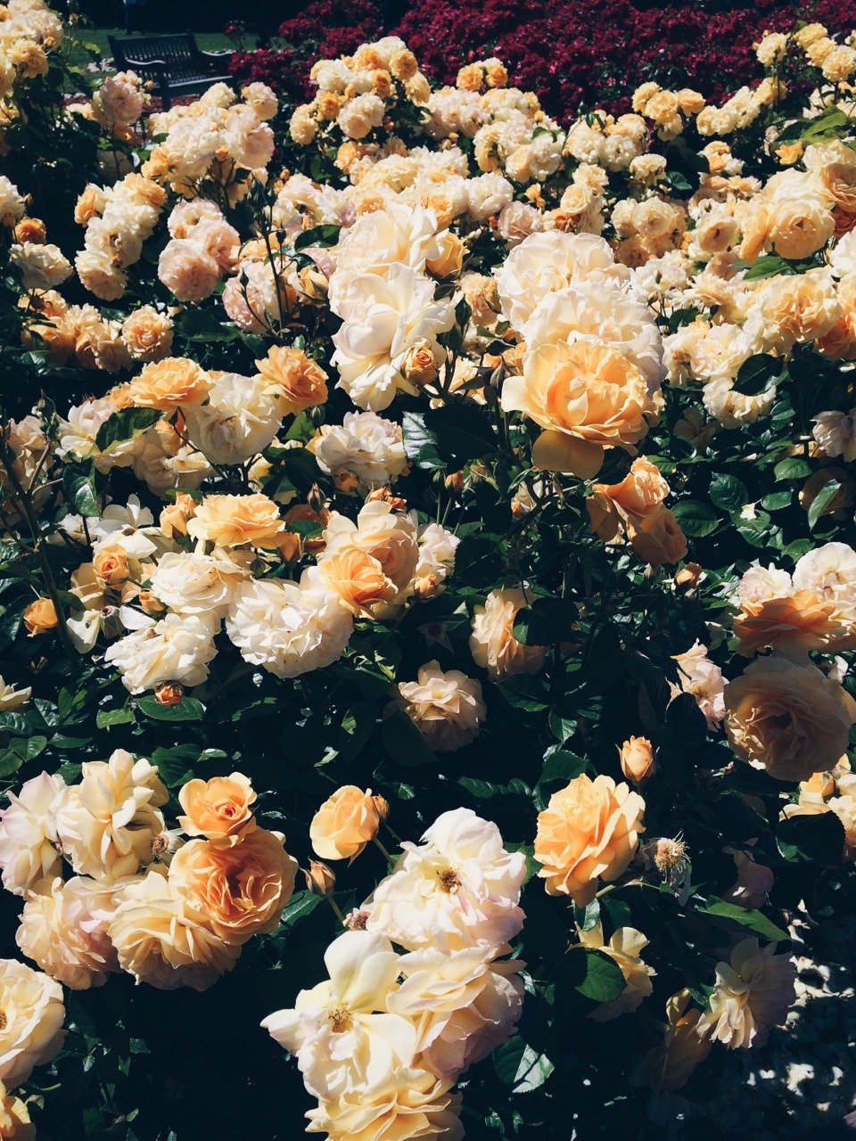 floralls