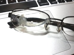 drowsystar: something got into my glasses…  Throwback #029