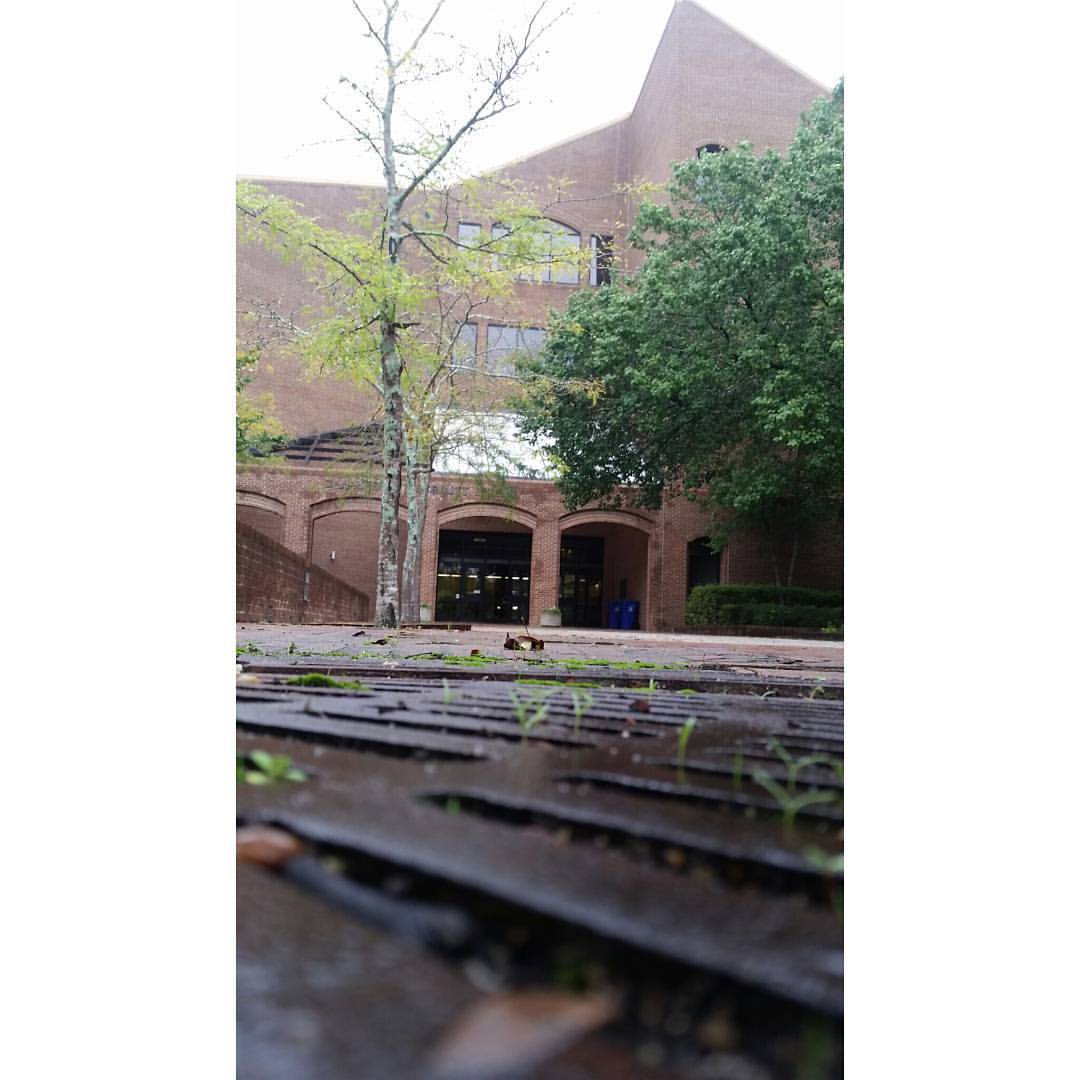 [Day 1: #ChesnuttLibrary under the gray #northcarolina skies.] It has been so dreary, gloomy, and wet in #fayettevillenc this week. Flash flooding and threats of #hurricanejoaquin! #5minlibchallenge #librariesofinstagram #librarylife #LibChat...