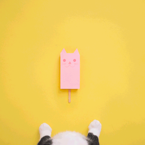 princesscheeto:Too hot… need a #CATsicle 😛