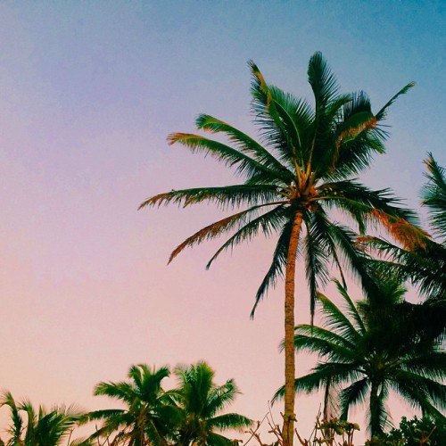 Take It Easy