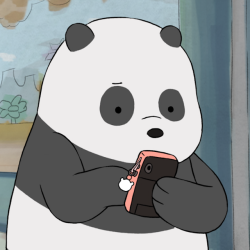 Bear Fun Fact: Panda can send over 50 snapchats