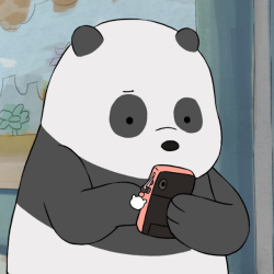 Bear Fun Fact: Panda Can Send Over 50 Snapchats In Under An Hour! 