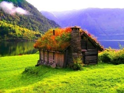 bluepueblo:  Grass Roof Home, Norway photo